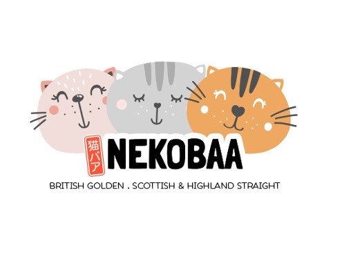 nekobaa